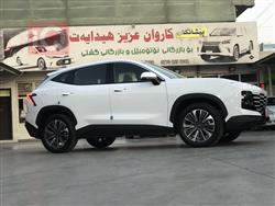جيتور داشينج
